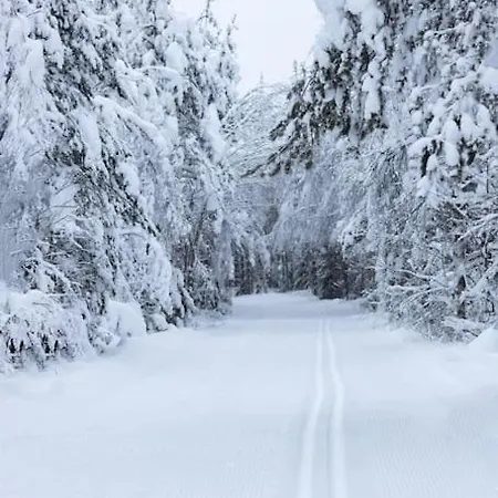 度假居 Arctic Circle 罗瓦涅米