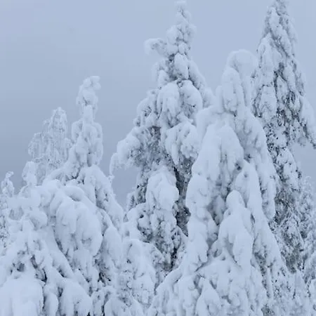 度假居 Arctic Circle *