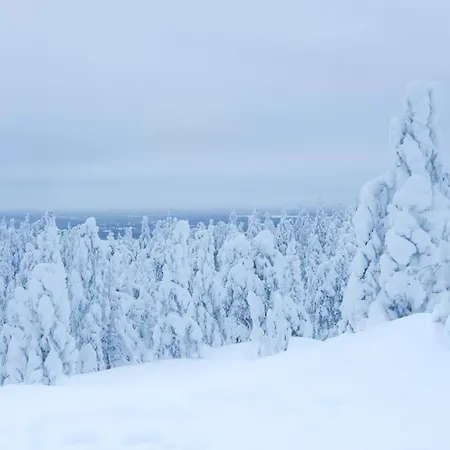 度假居 Arctic Circle *