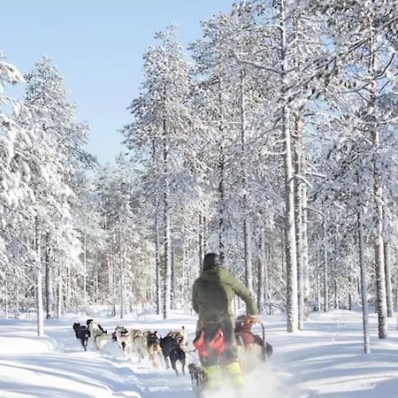 Arctic Circle 罗瓦涅米